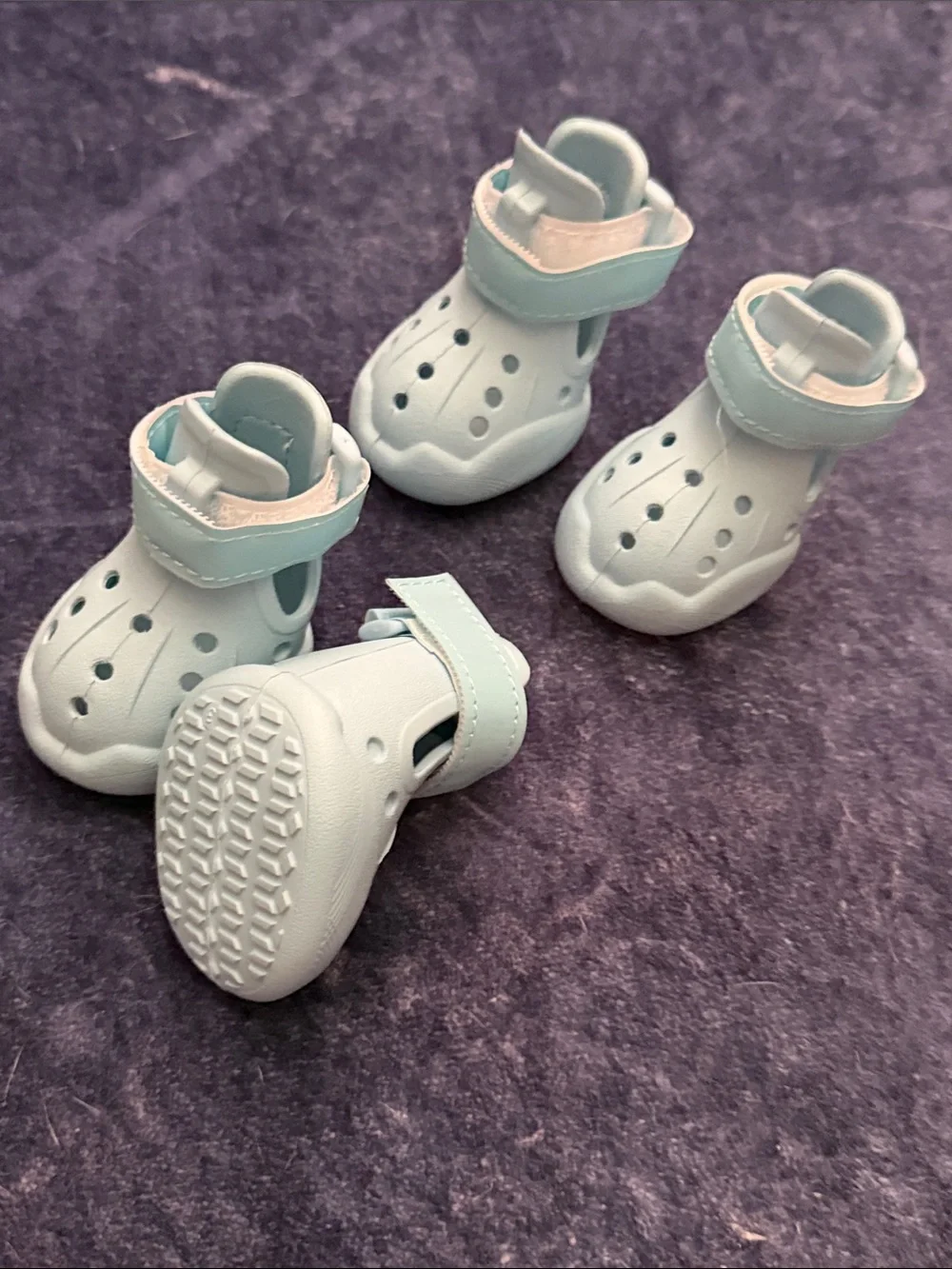 Light Blue Dog Crocs!